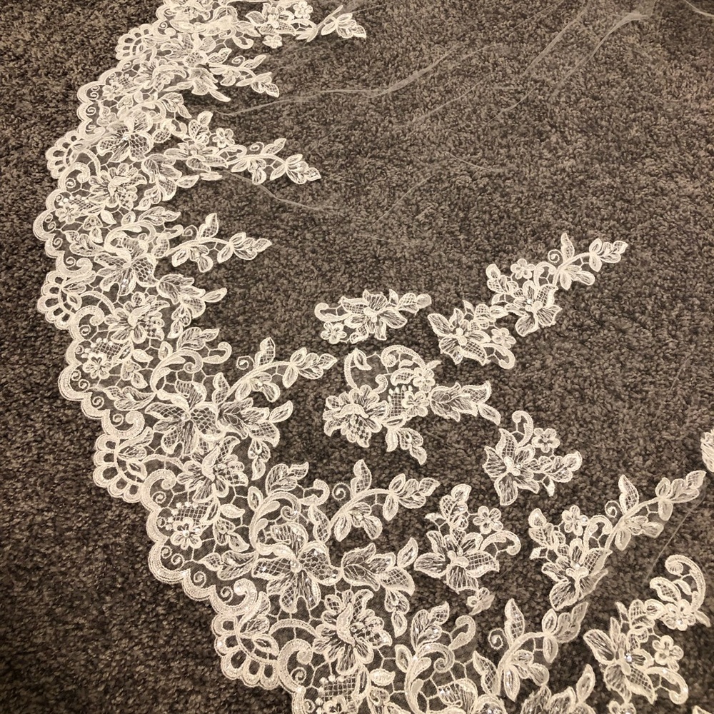 Cathedral length veil